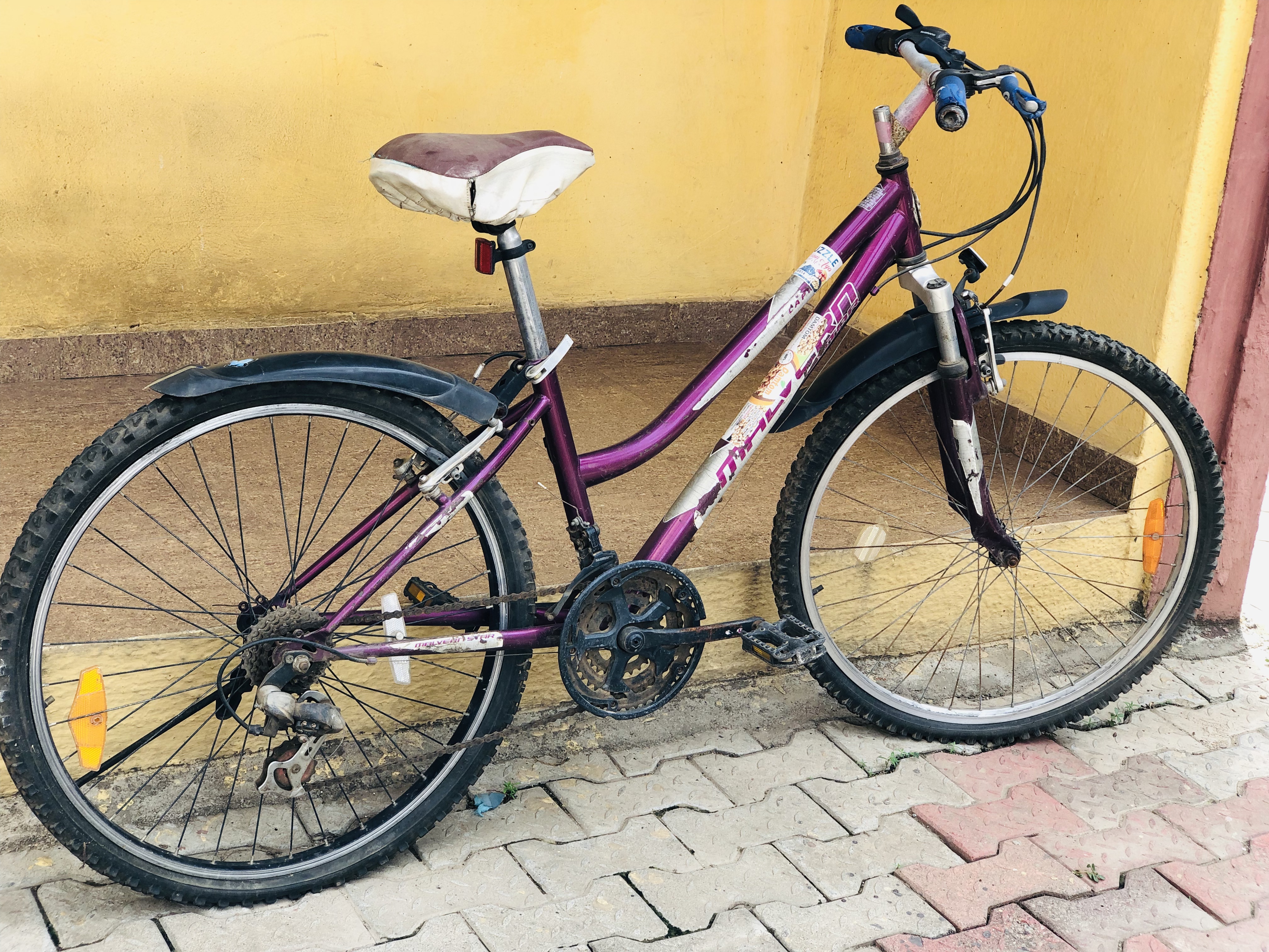 Malvern Star Capri Bike